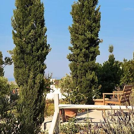 Christou Estate & Villas Pýrgos Eksteriør bilde