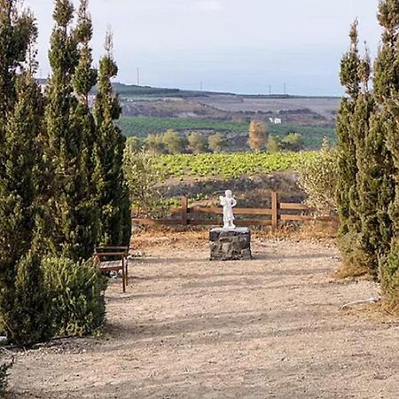 Christou Estate & Villas Pýrgos Eksteriør bilde